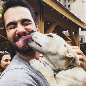 Meet your Posher, Julian